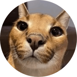 fd_ripatel's profile picture